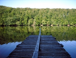 Rosensee / Schwentine